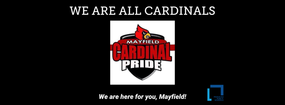 we are all cards
