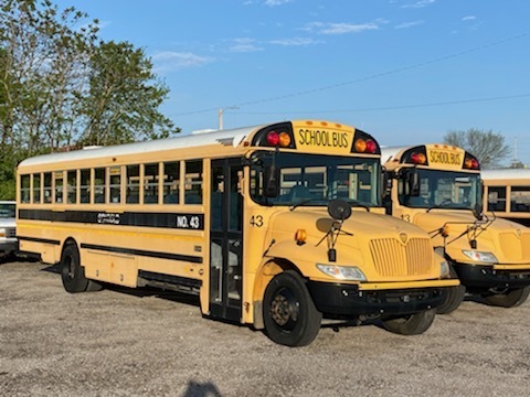 Image of buses